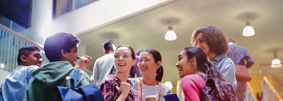 Curriculum Innovation Center